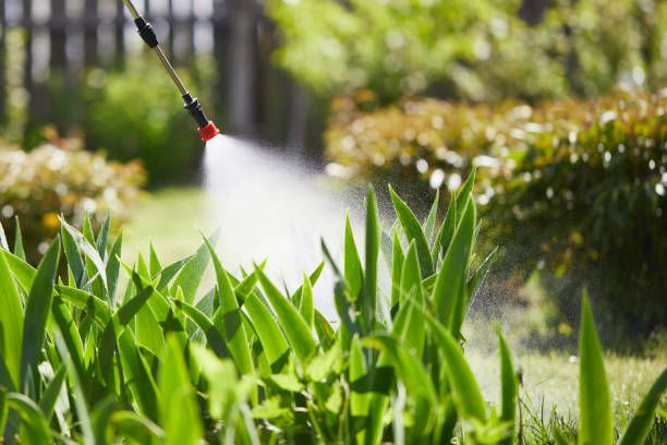 24/7 Emergency Ant Control experts in George, IA